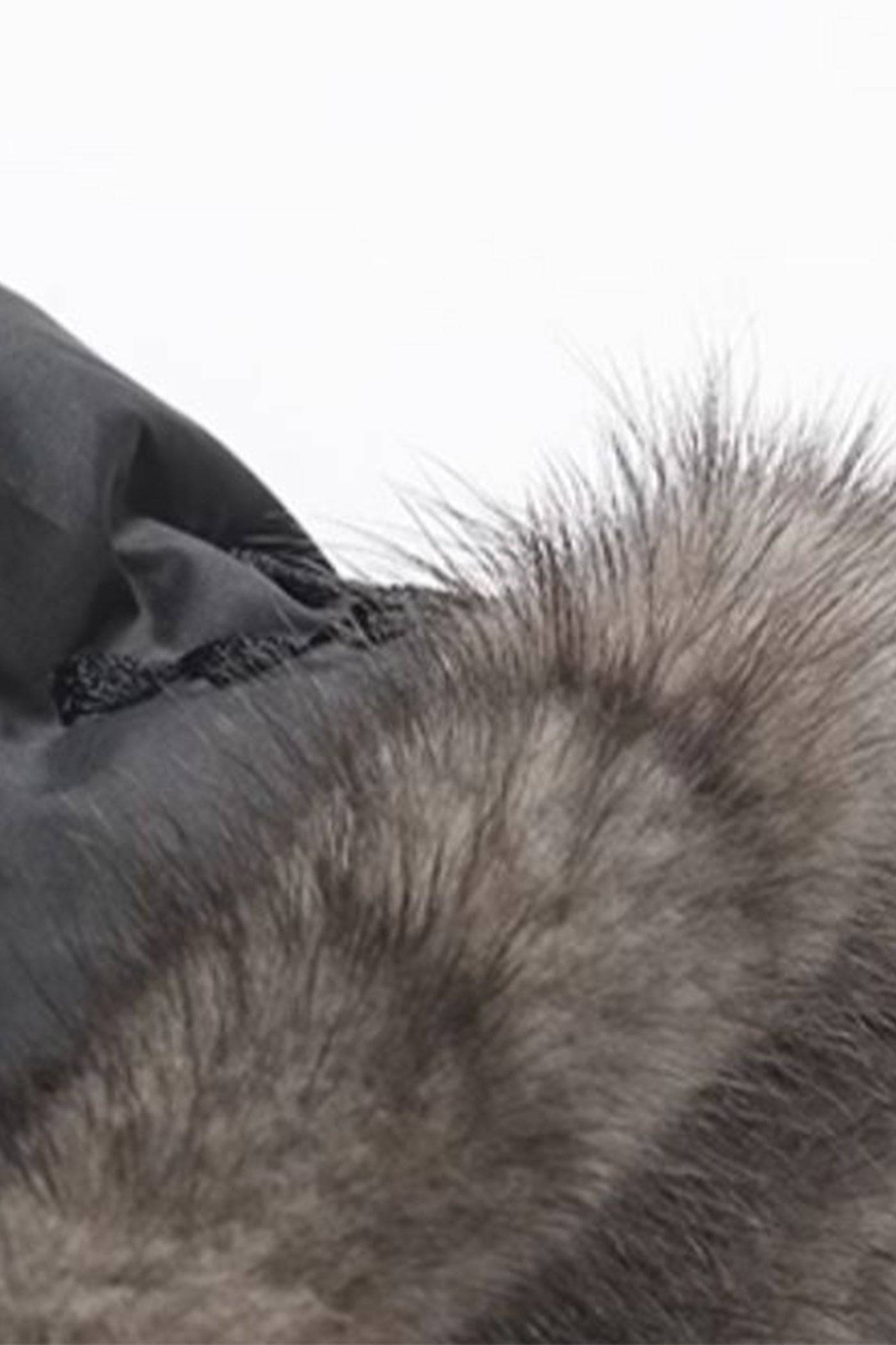 KAMILAN Women's Down Coat – 2025 Winter New White Goose Down Jacket with Mink Fur Splicing Design